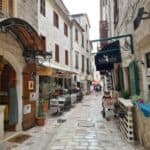 321539555_2354913584684221_4092232574309811155_n